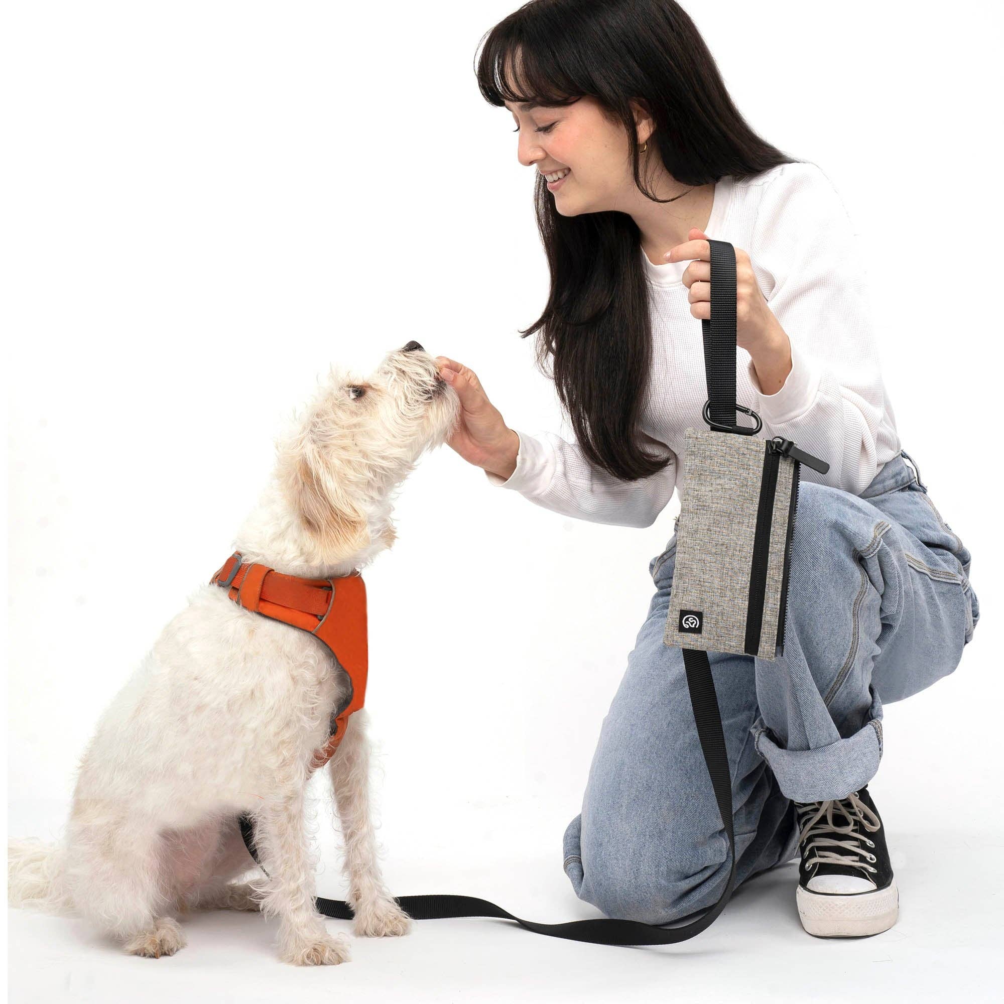Cleverpup Porter Dog Gear Backpack