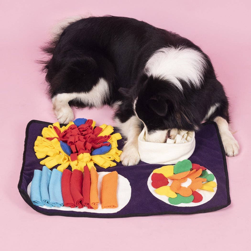 Cheerhunting Snuffy Interactive Snuffle Mat for Dogs Colourful Feeding Fun