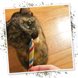 Meowijuana Birthjays Party Sized Catnip Joints