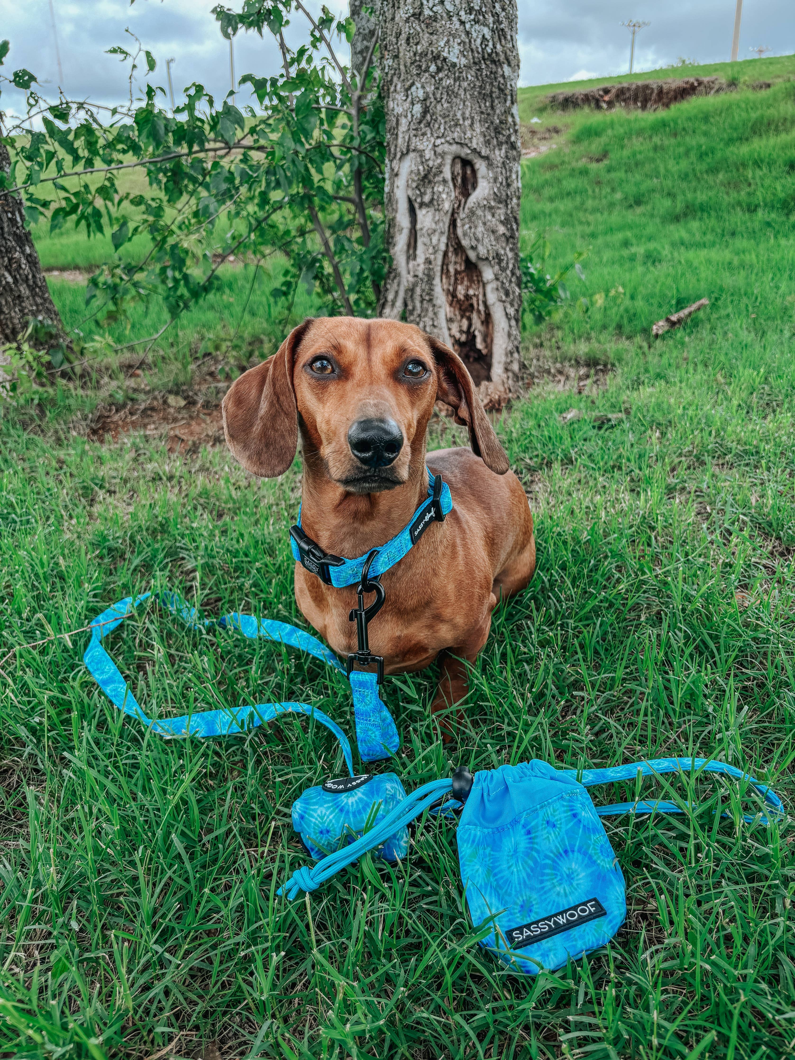 SASSY WOOF Tropical Tides Treat Pouch