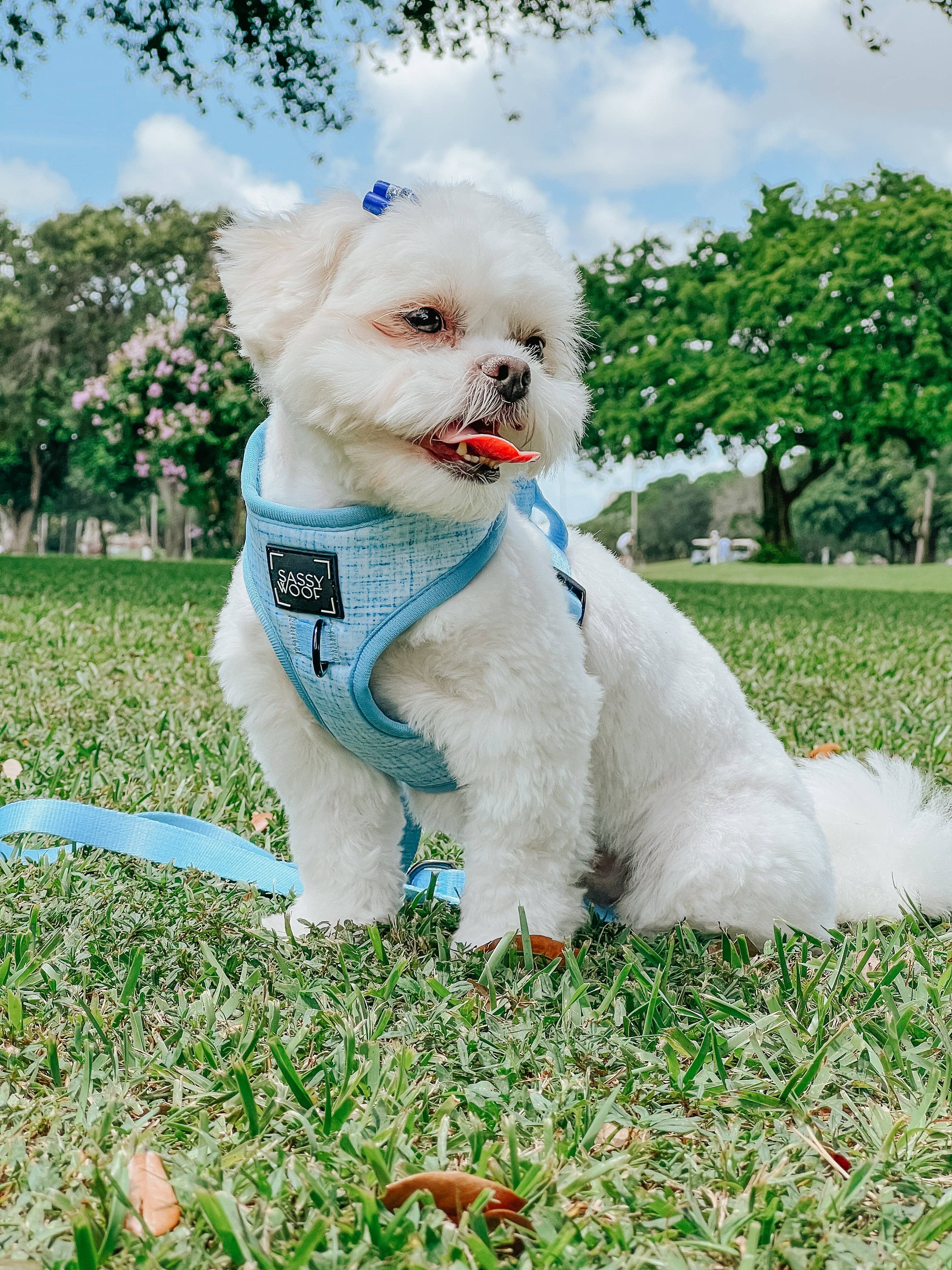 SASSY WOOF Blumond Dog Adjustable Harness