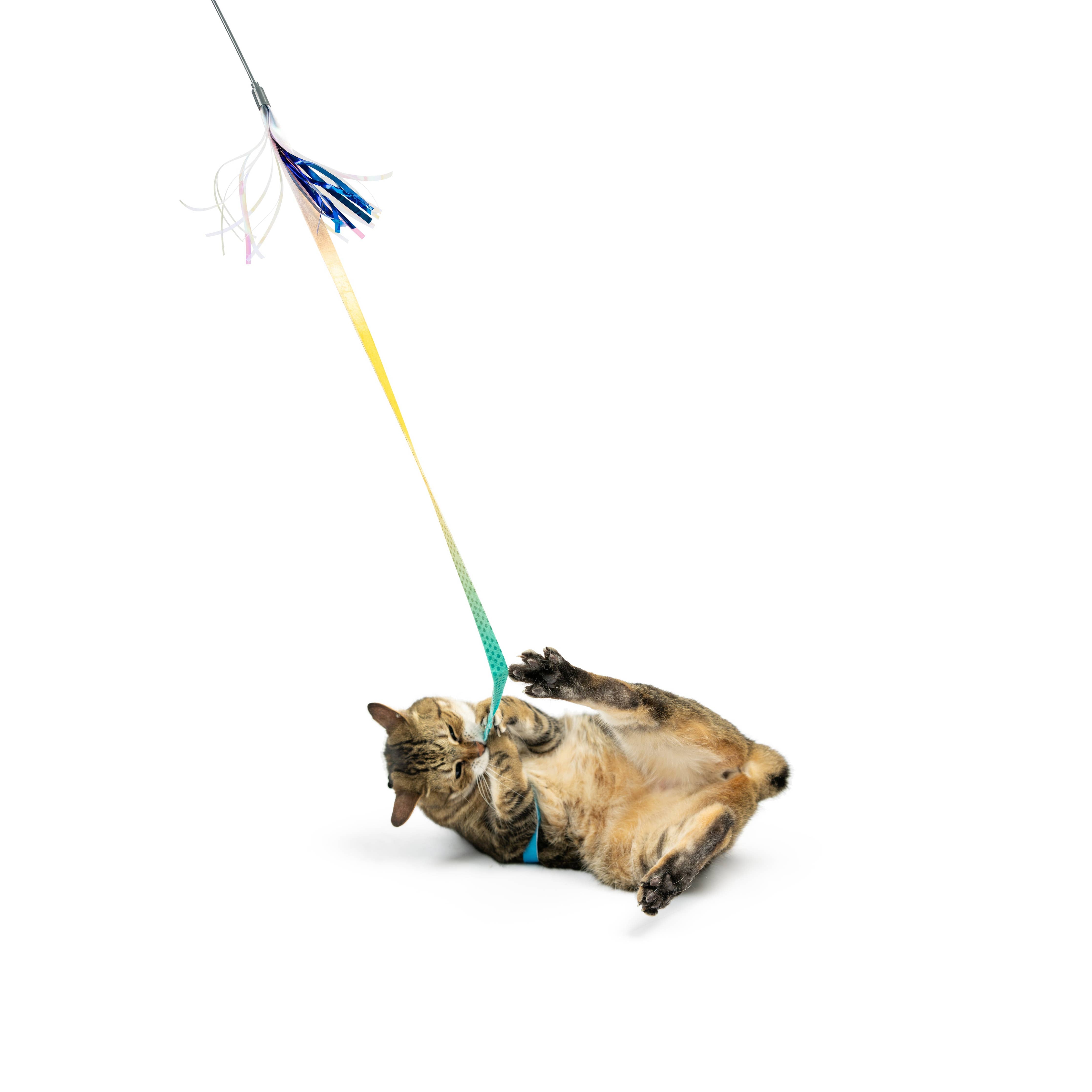 Huxley & Kent Dance & Lure Wand Cat Toy