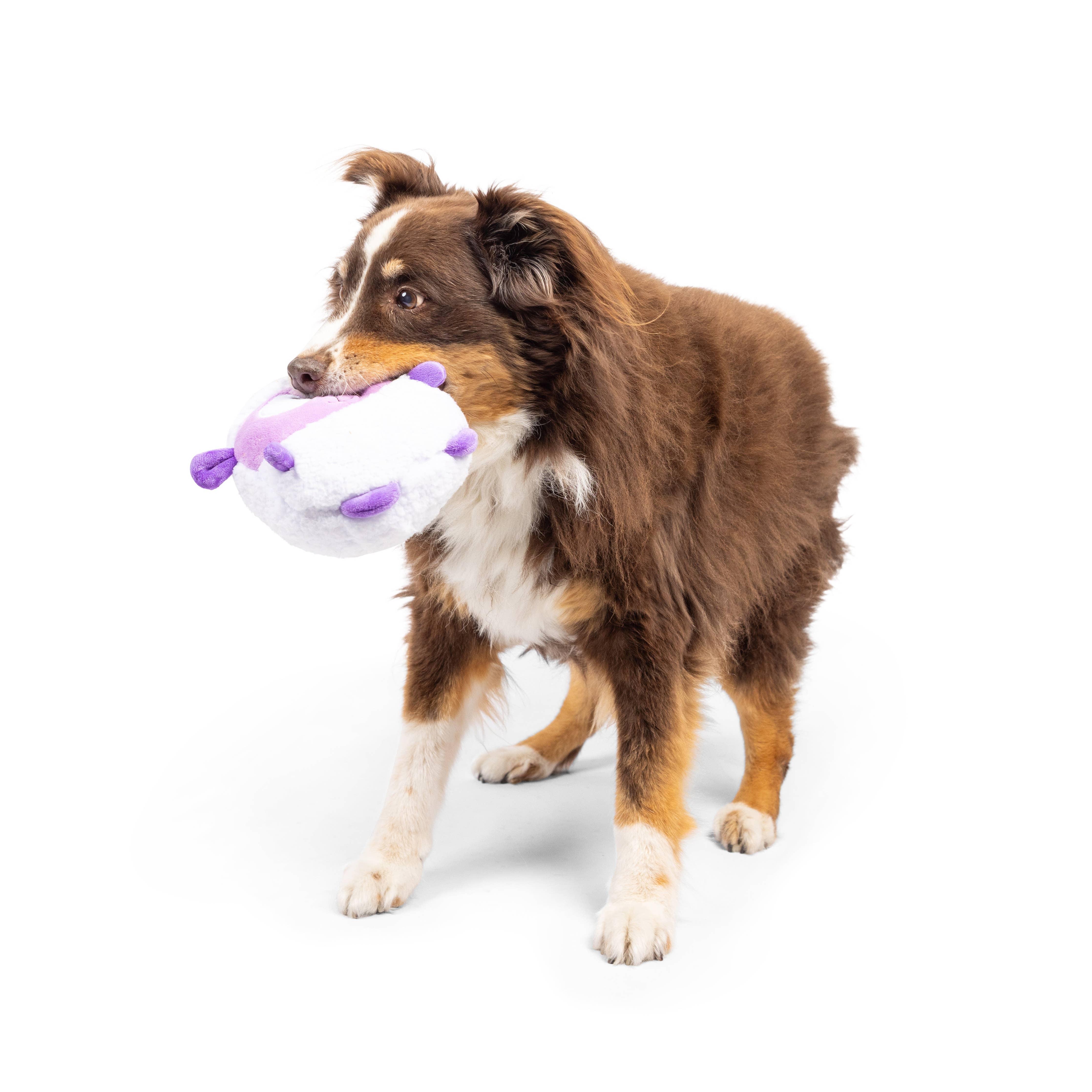 Huxley & Kent Pudgies Lady Baba Dog Toy