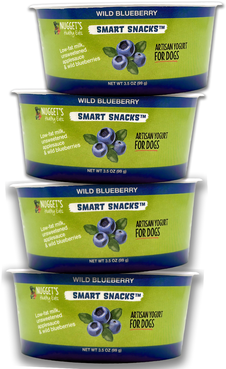 Nuggets Healthy Eats Smart Snack Frozen Artisan Yogurt for Dogs