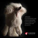 iGroom Dirty Dog Shampoo & Conditioner