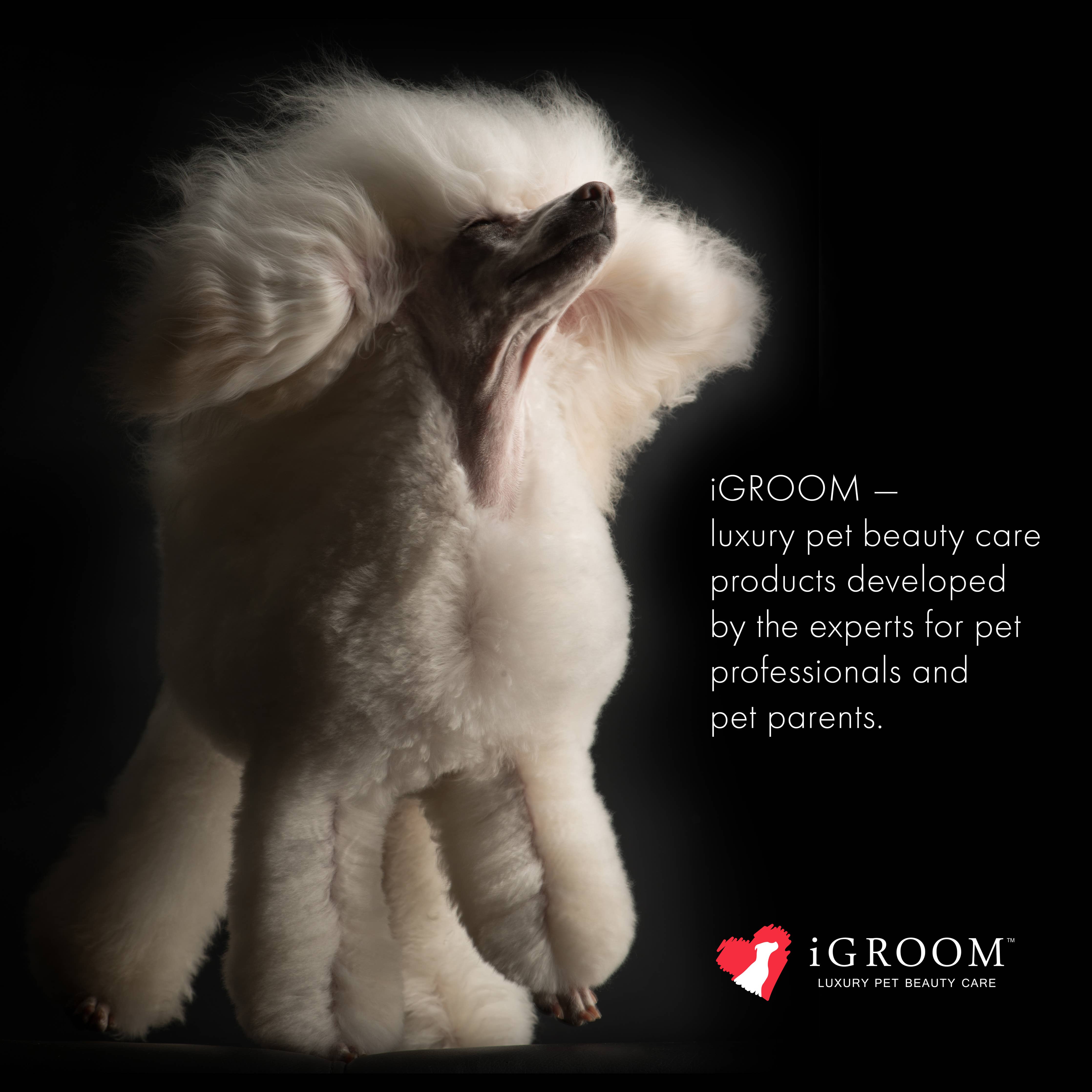 iGroom Dirty Dog Shampoo & Conditioner