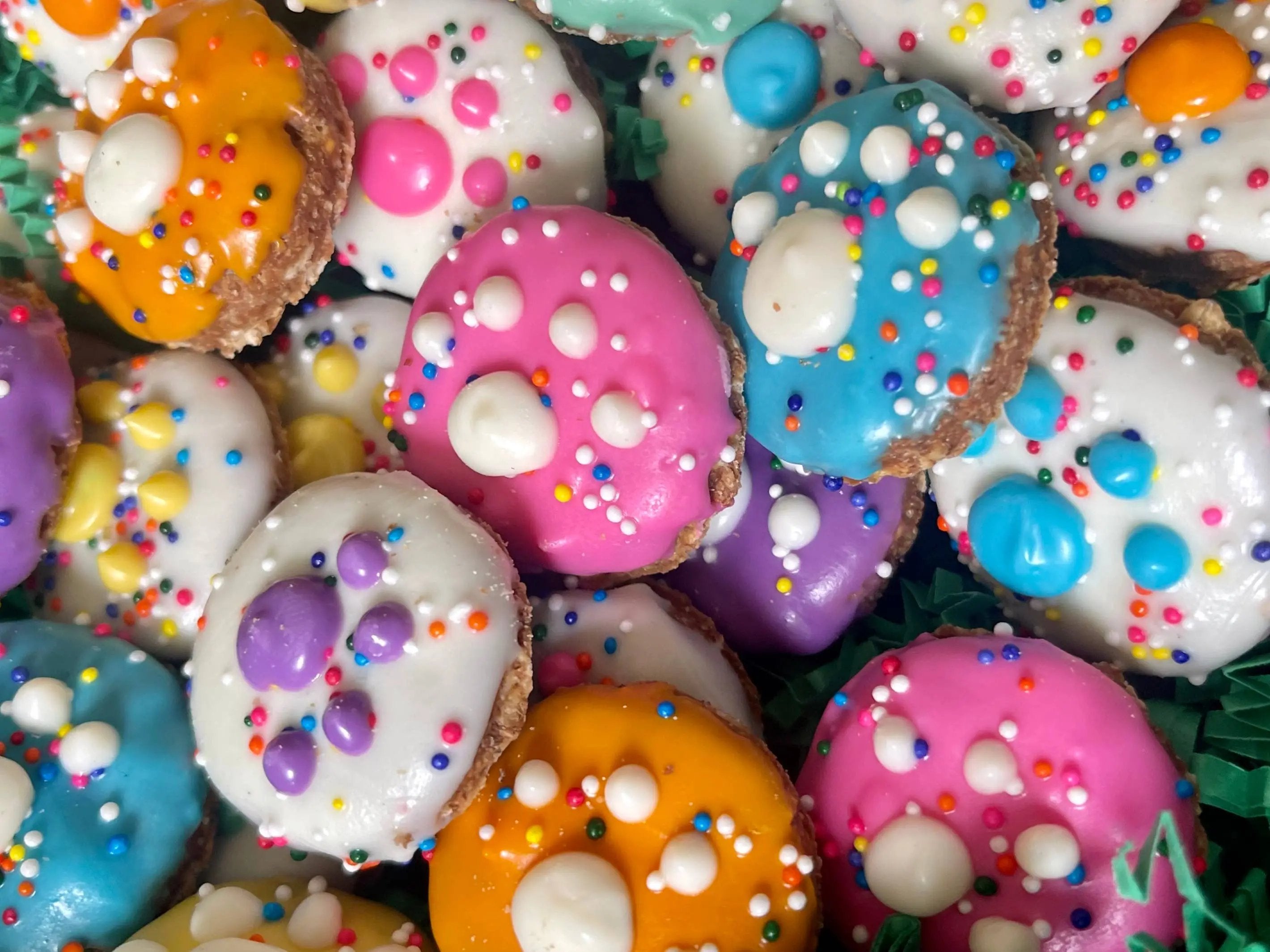 YumYum4DOGS - Mini Fiesta PAWTY Print dog treats