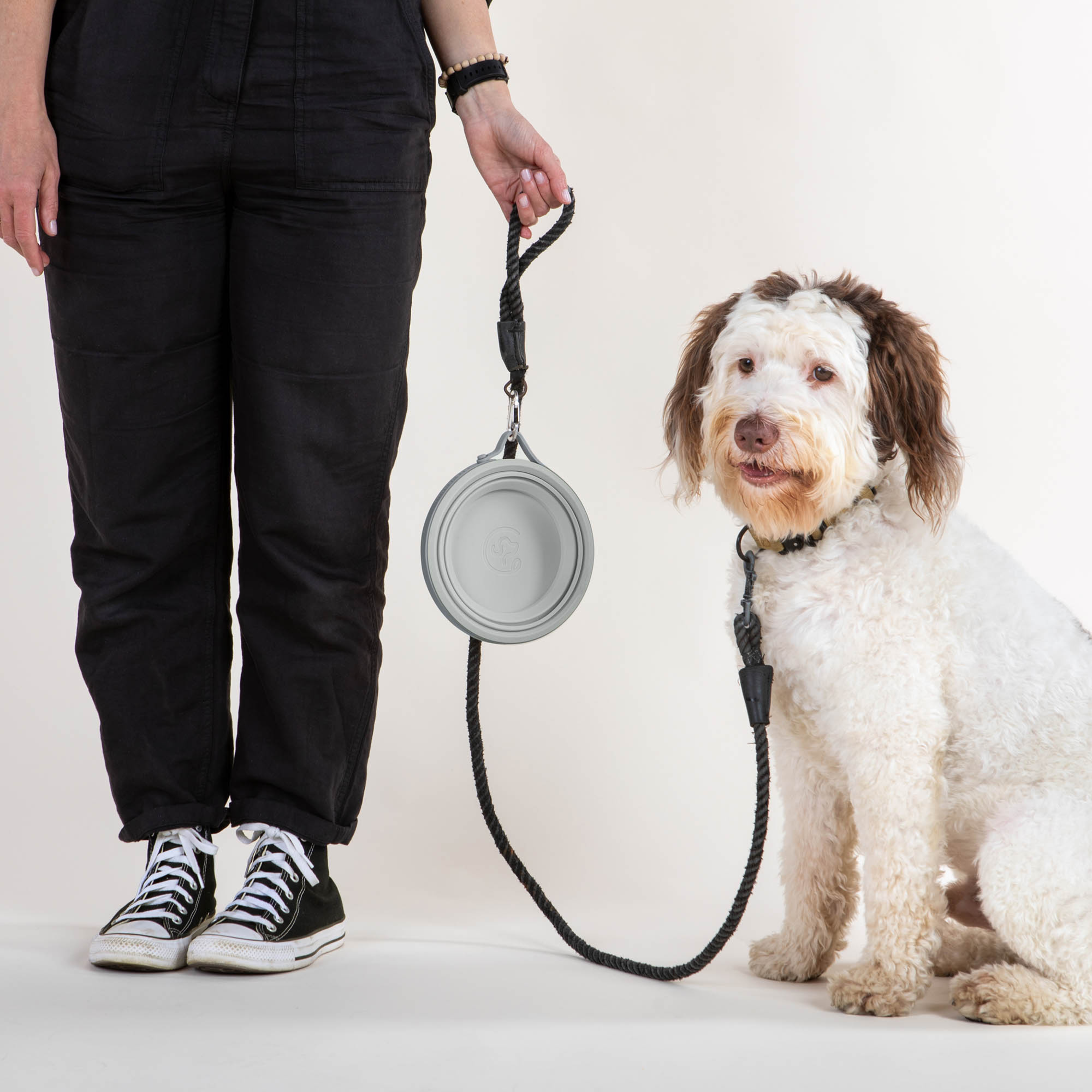 Cleverpup Nomad Collapsible Dog Bowl