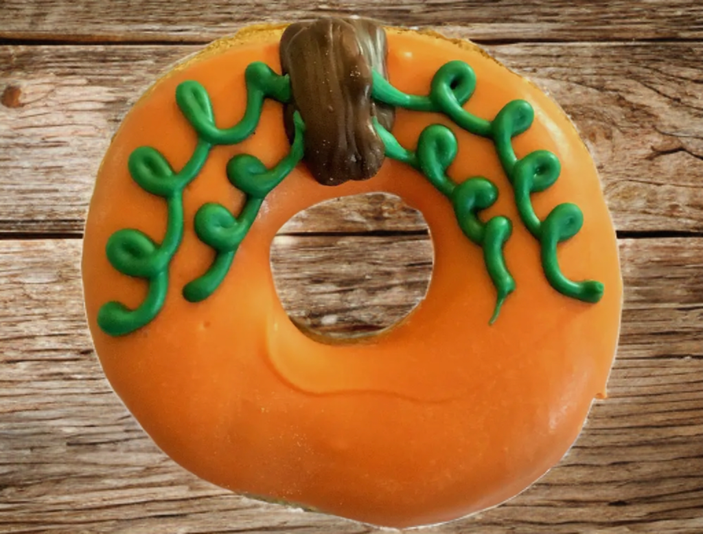 DELCO DOG CO. Pumpkin Donuts Bakery Dog Treat