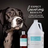 iGroom - All-In-One Shampoo + Conditioner 16oz