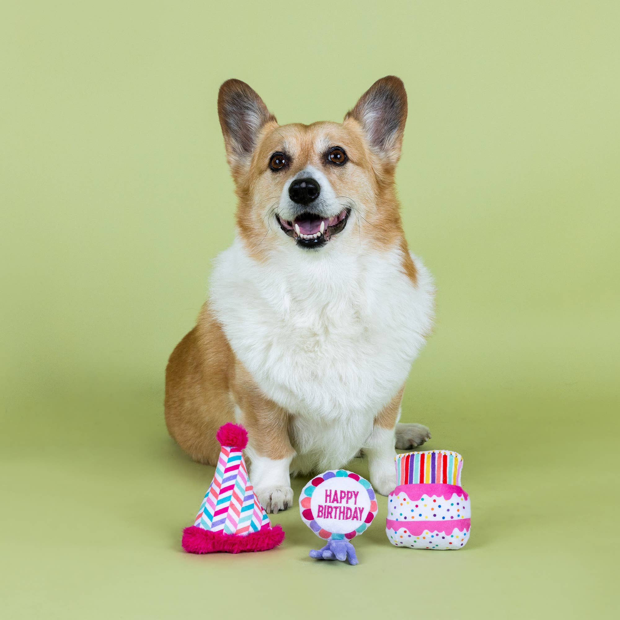 Petshop by Fringe Studio Can I Get A Woof Woof! 3pk Dog Toy