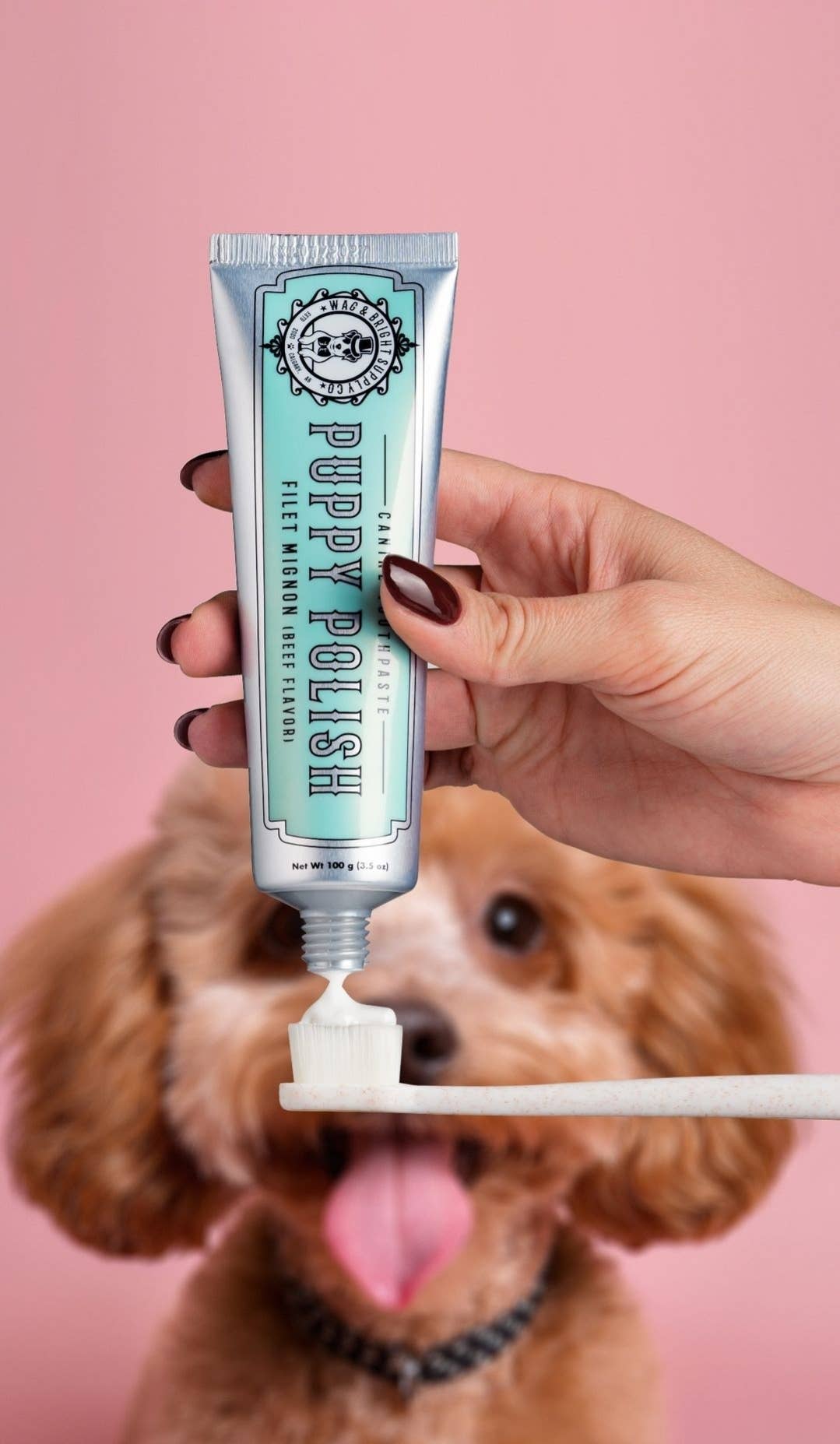 Wag & Bright Supply Co. Puppy Polish Toothpaste