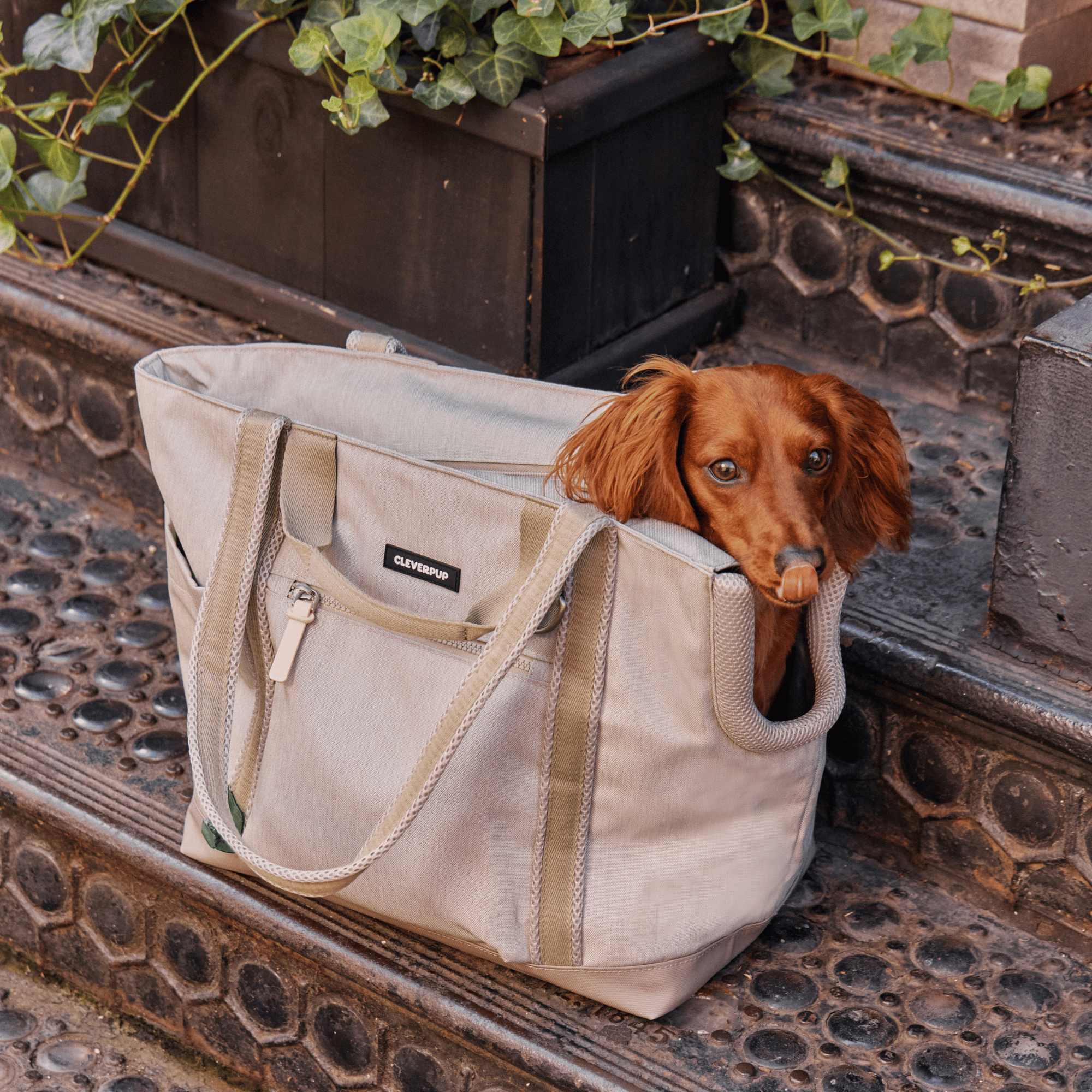 Cleverpup Transit Tote Dog Carrier