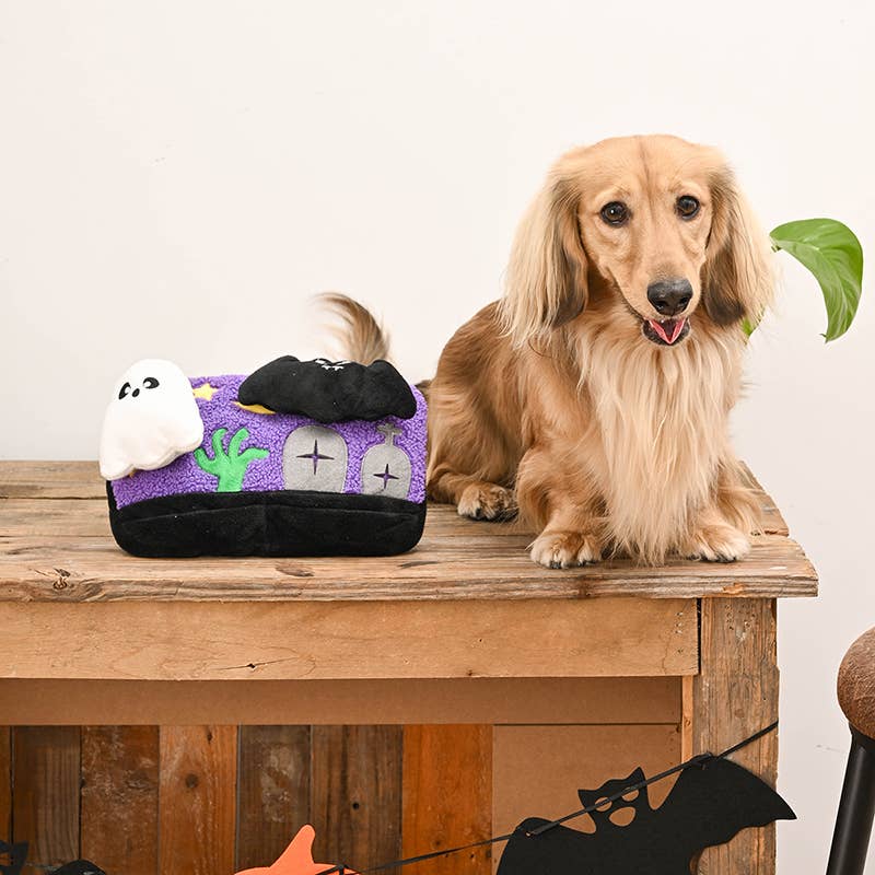 HugSmart Pet Howloween Night Horror Night Plush Dog Toy