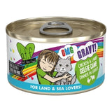 Weruva BFF OMG Gravy Canned Cat Food