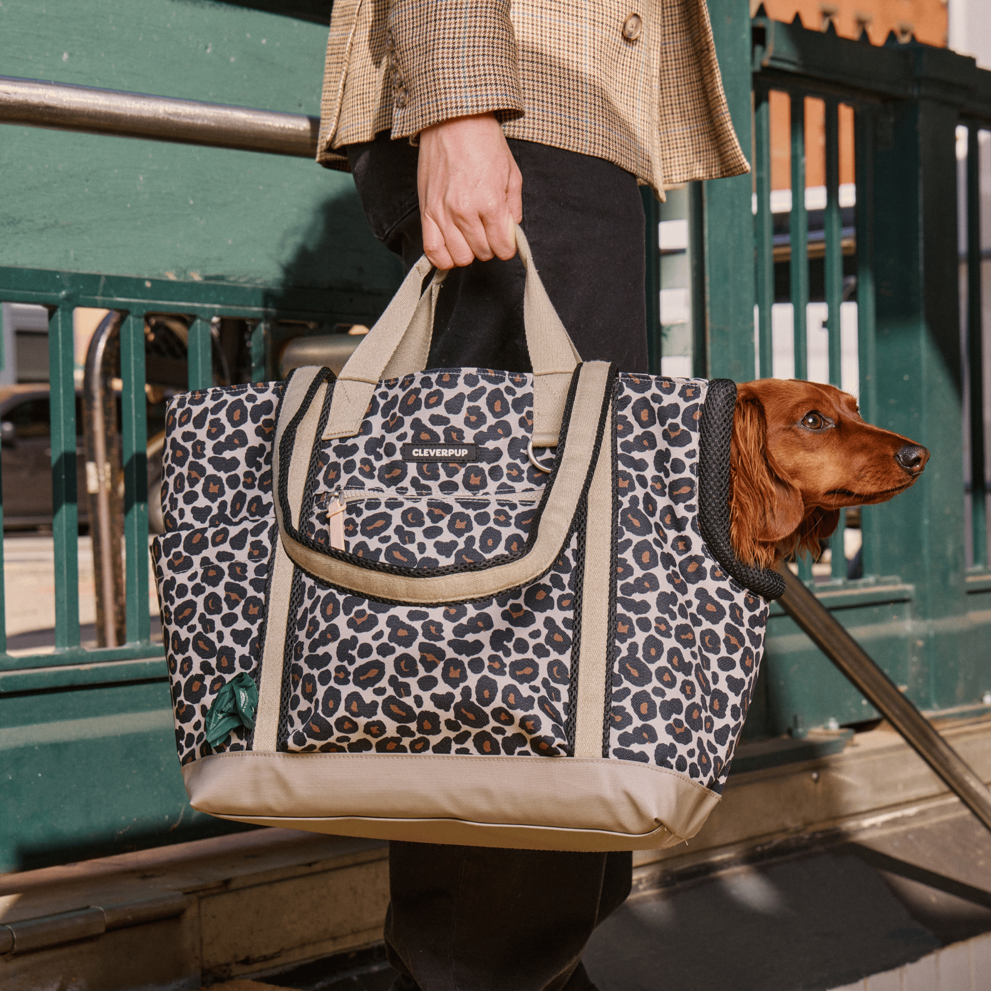 Cleverpup Transit Tote Dog Carrier