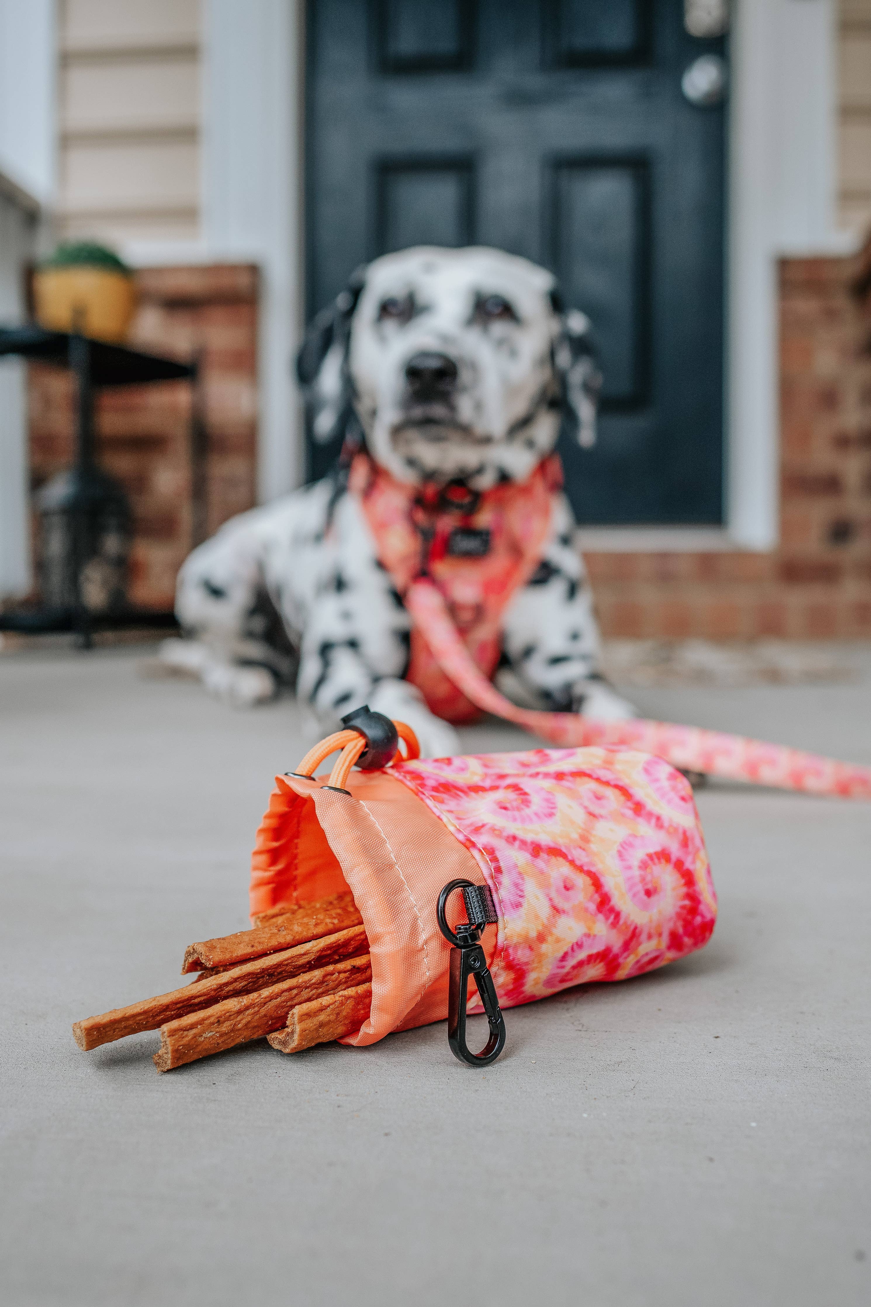 SASSY WOOF Summer Sorbet Treat Pouch