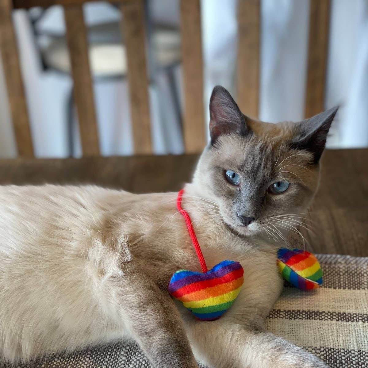 Huxley & Kent Rainbow Heart Strings Cat Toy