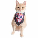 Pet Krewe Glow Halloween Bandana