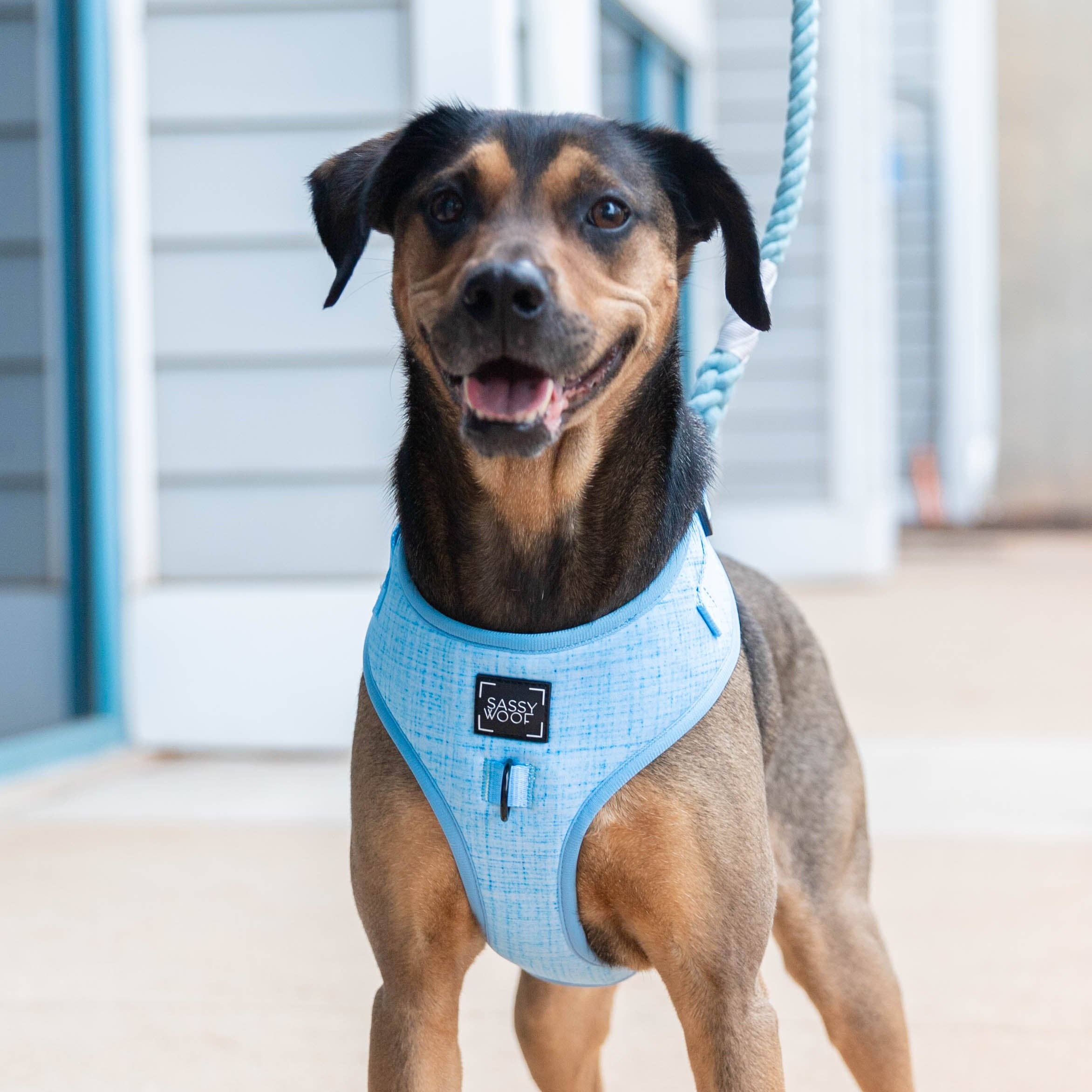 SASSY WOOF Blumond Dog Adjustable Harness