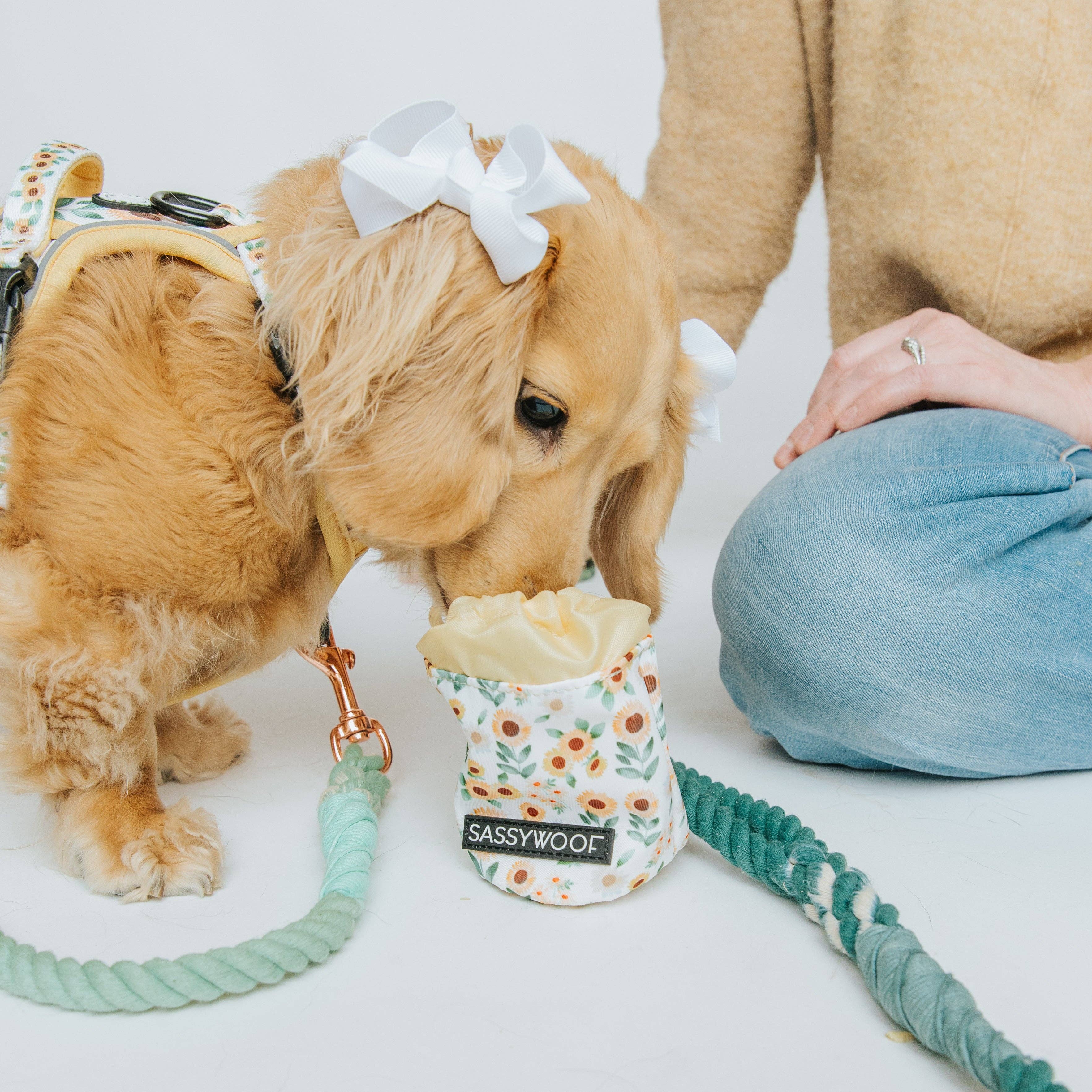 SASSY WOOF Sunflower Dreams Treat Pouch