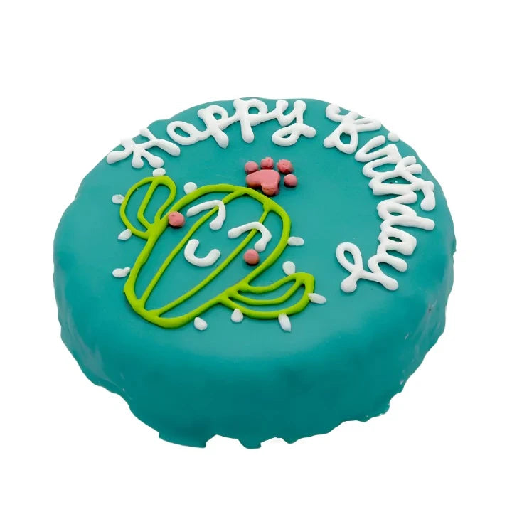 Furry Belly Bake Shop Cactus Cutie Birthday Chewy Oat Cake
