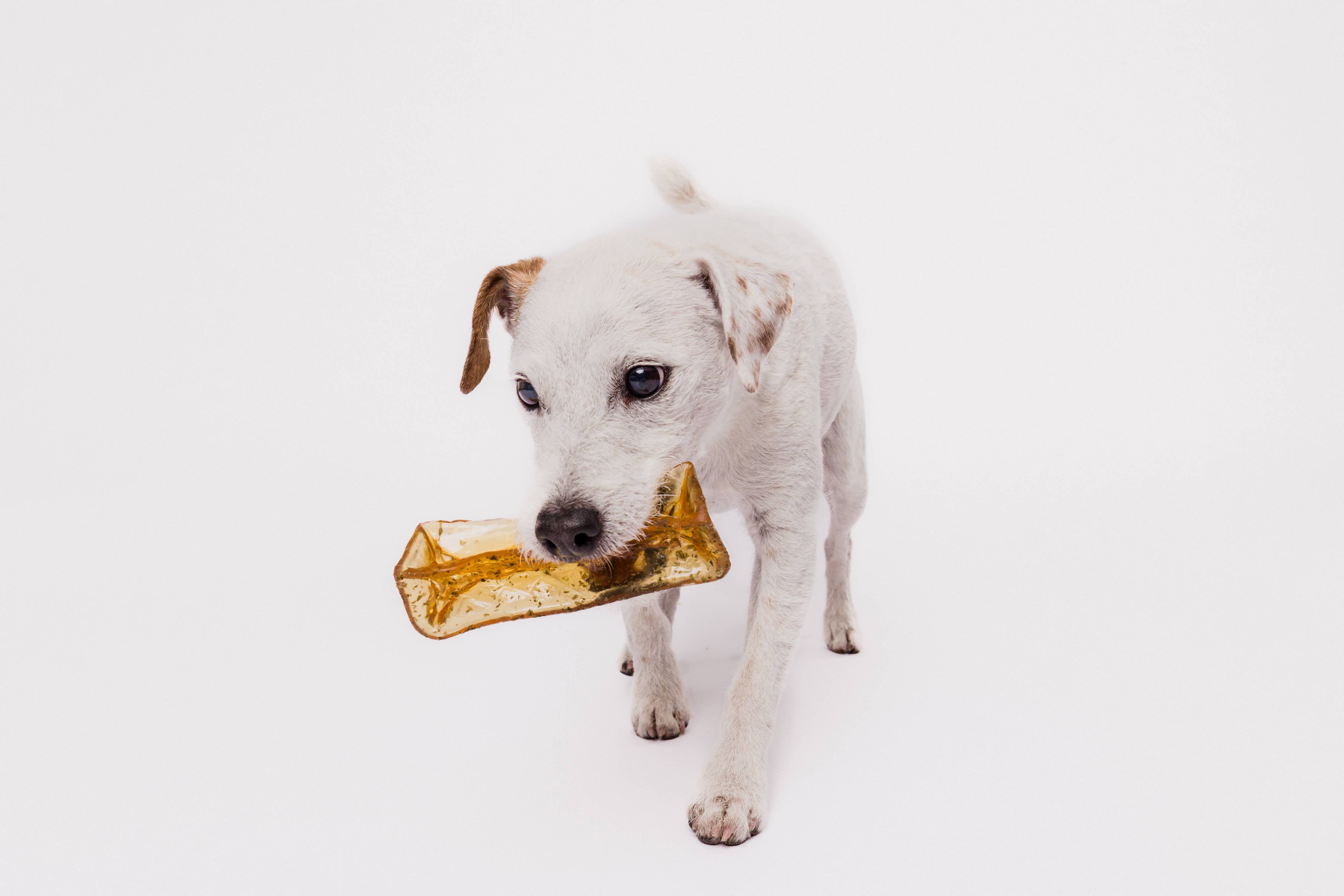 Wag & Bright Supply Co. Mighty Marrows Collagen Bacon Dental Chew for Dogs