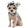 Dogo Pet Hat - Zebra