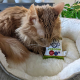 Huxley & Kent Kitty Pop Cat Toy