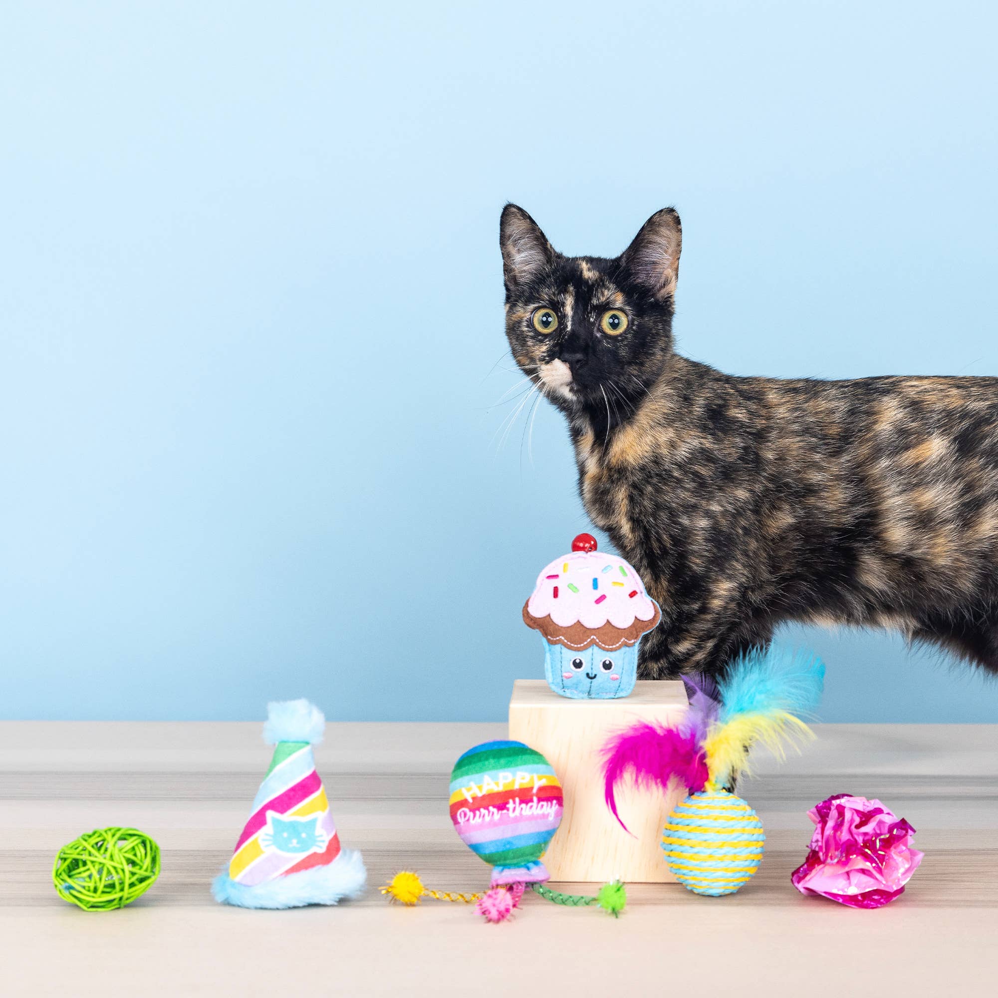 Petshop by Fringe Studio HAPPY PURRTHDAY 6pc Cat Toy