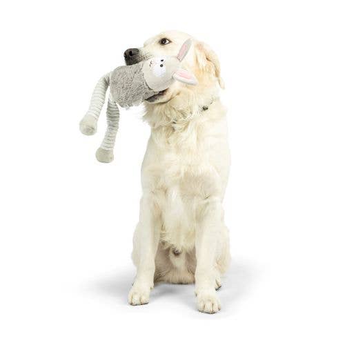 Huxley & Kent Lankies Binky Bunny Dog Toy