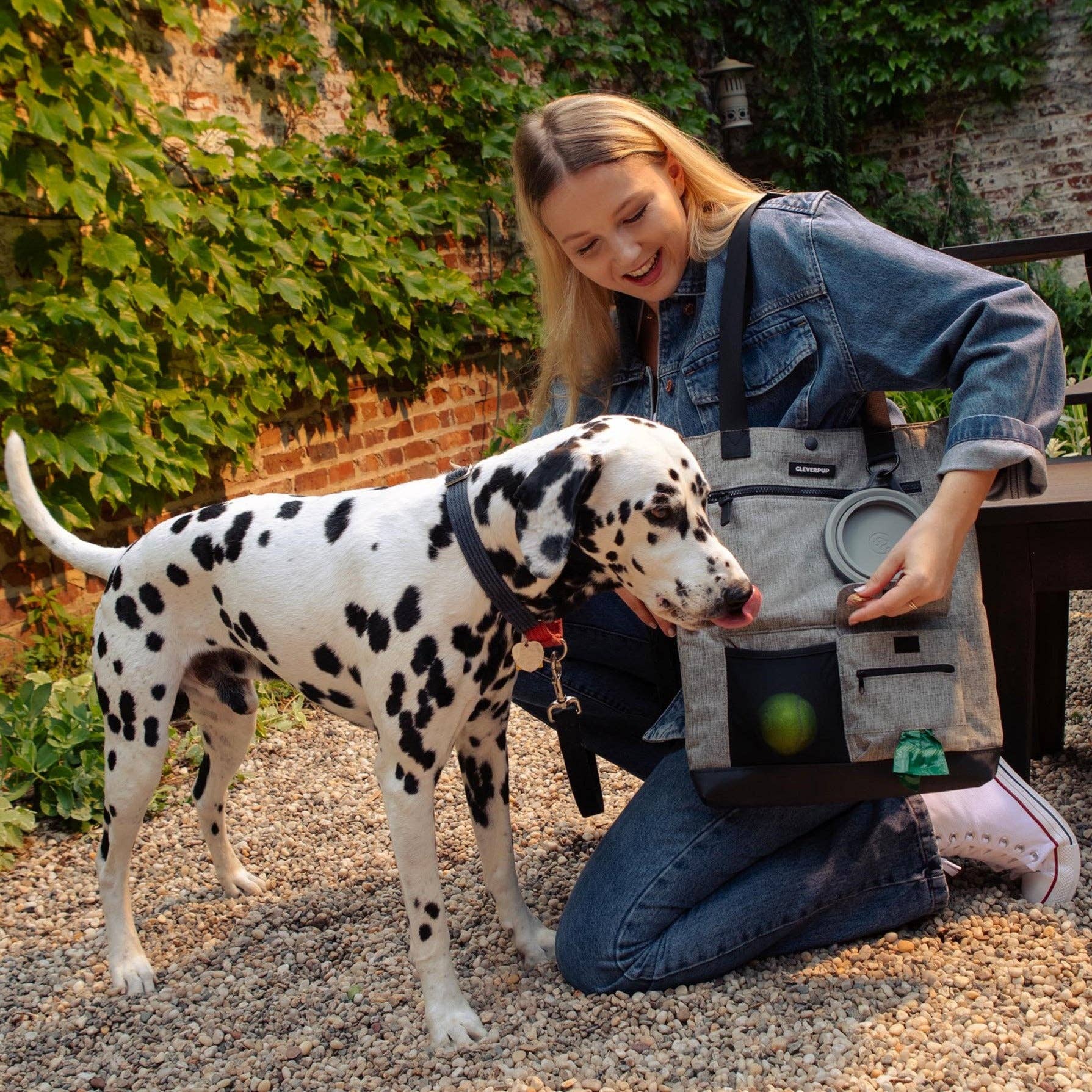 Cleverpup Park Pack Dog Gear Tote