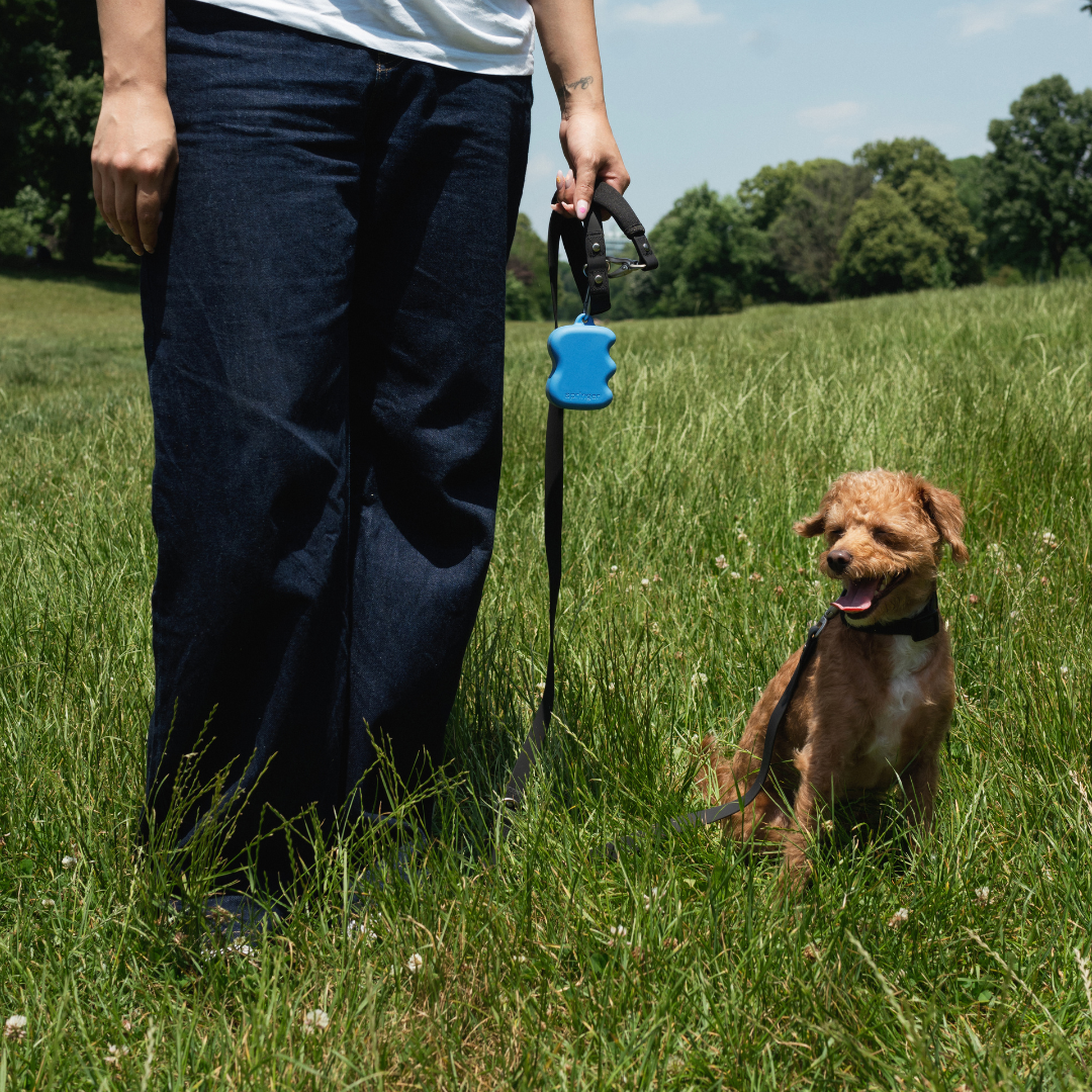 Springer Pets Squeeze Silicone Dog Treat Pouch Dispenser