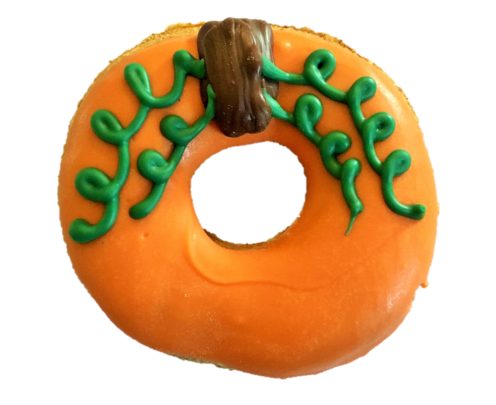 DELCO DOG CO. Pumpkin Donuts Bakery Dog Treat