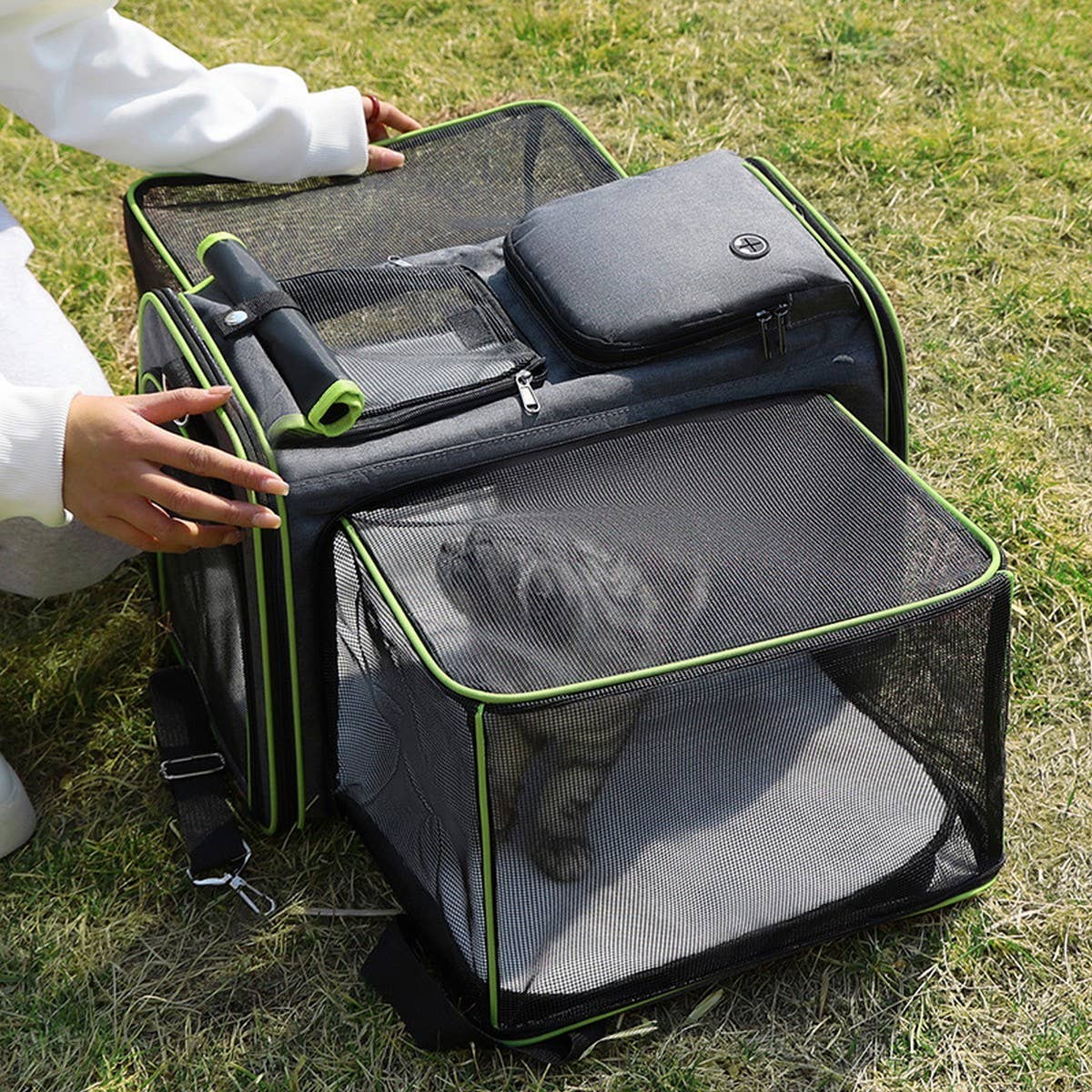 PAWPAW Portable Pet Travel Tote with Expandable Space