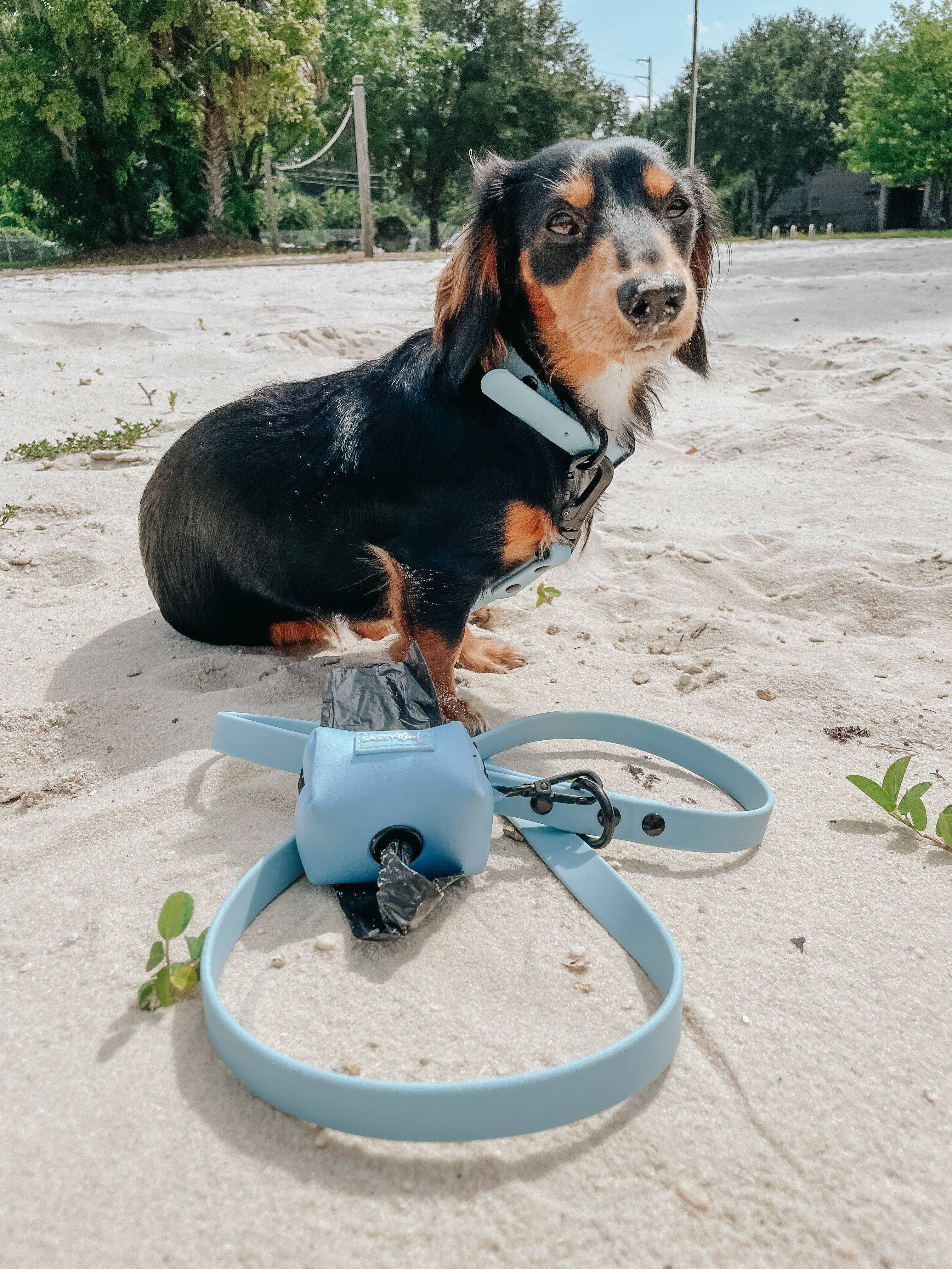 SASSY WOOF Blue Dog Waterproof Leash