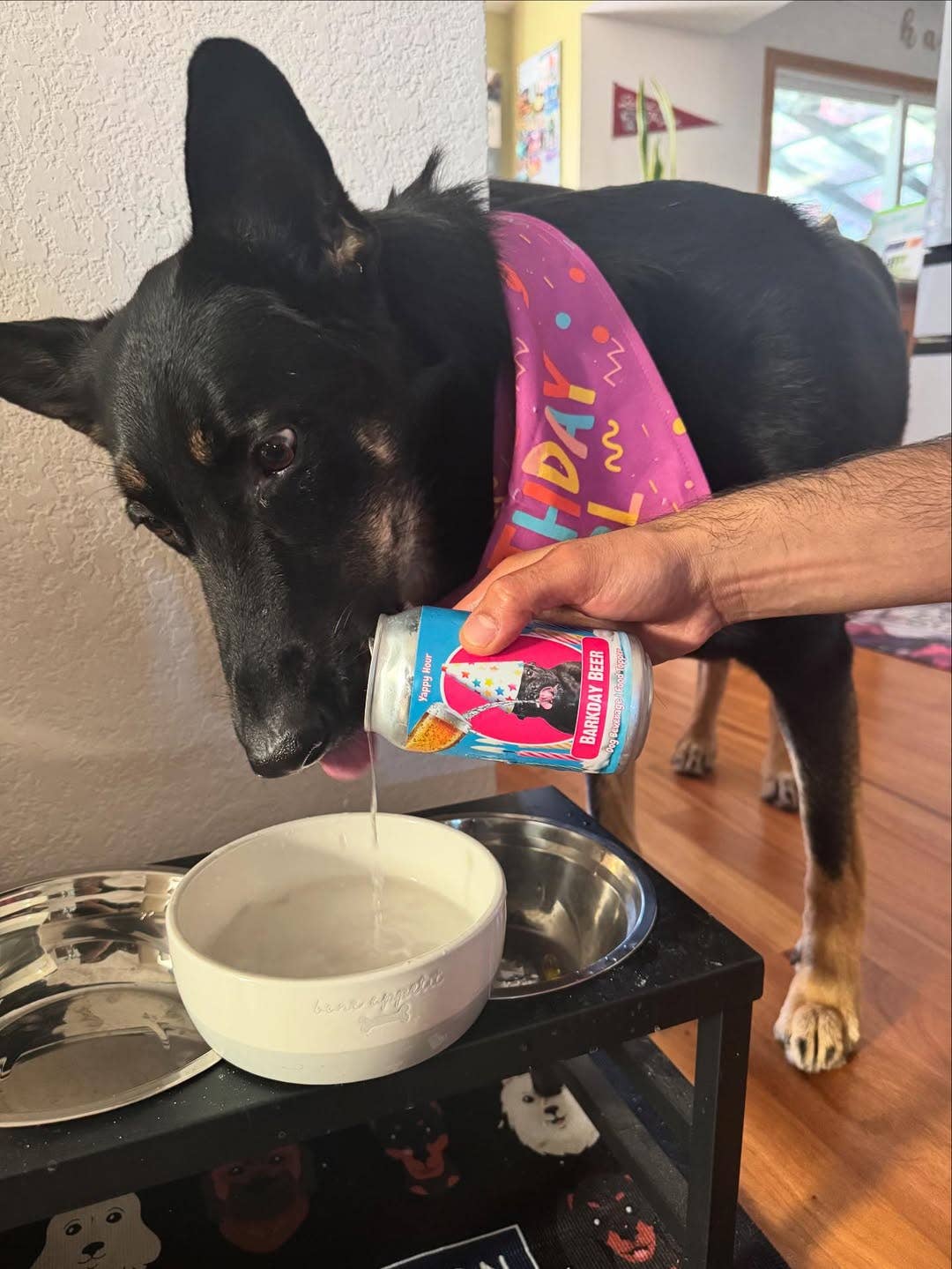 Yappy Hour Barkday Beer Watermelon