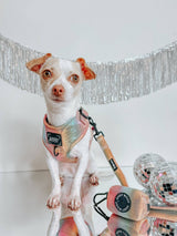 SASSY WOOF The Night Life (Reflective) Dog Adjustable Harness