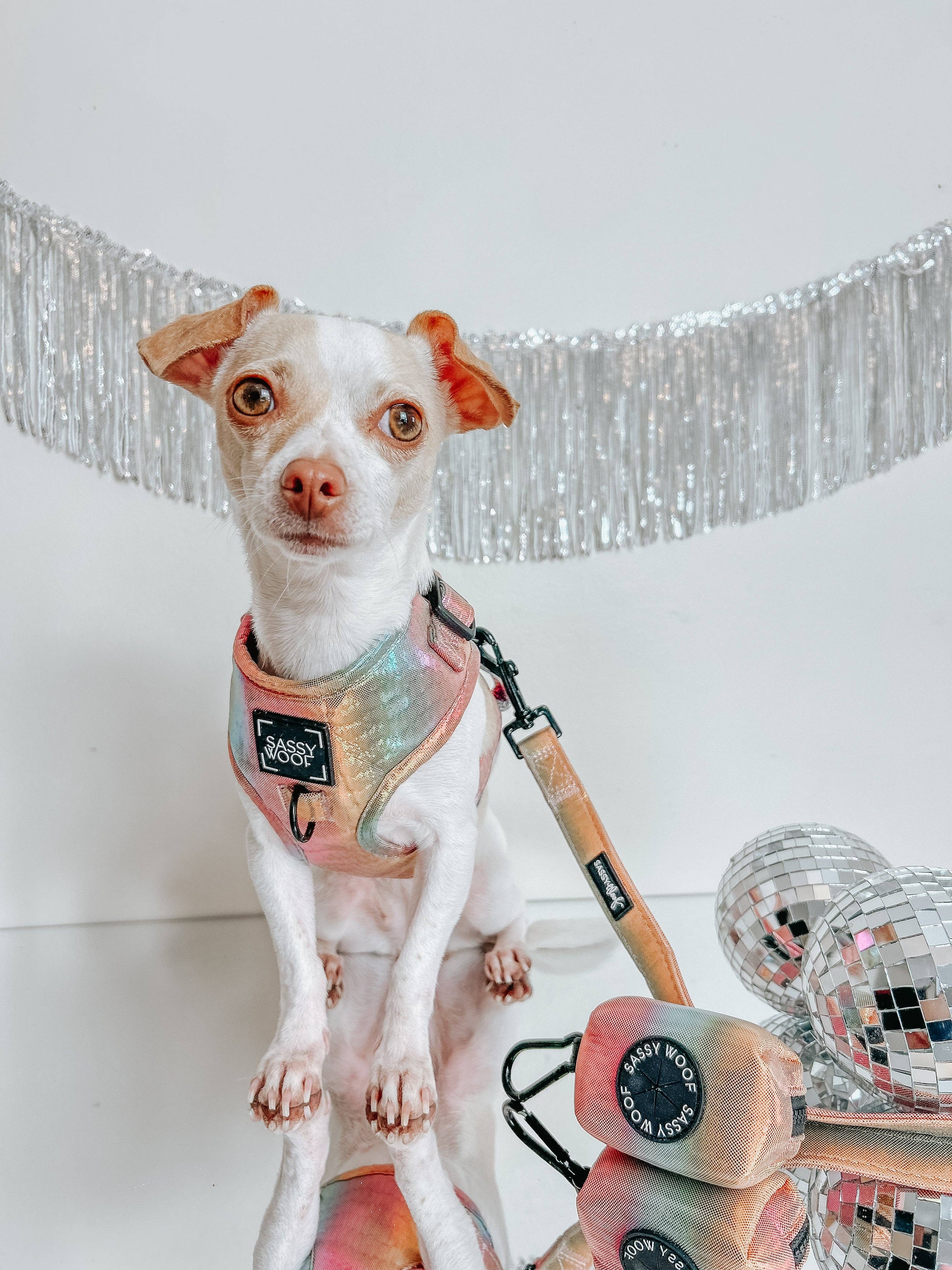 SASSY WOOF The Night Life (Reflective) Dog Adjustable Harness