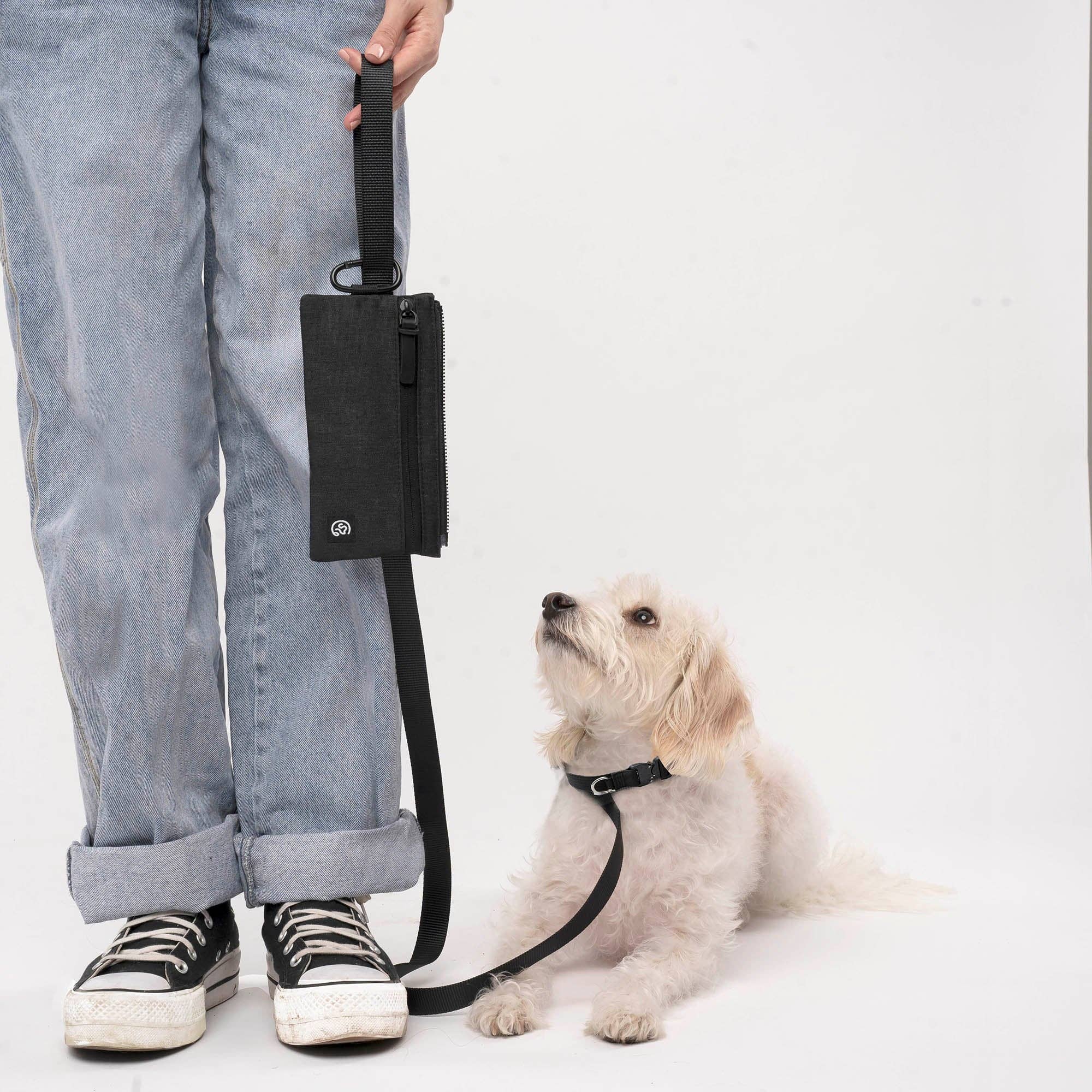 Cleverpup Porter Dog Gear Backpack