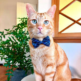 Made By Cleo - "Echo Peak" - Blue Plaid Bow Tie for Cats + Small Dogs