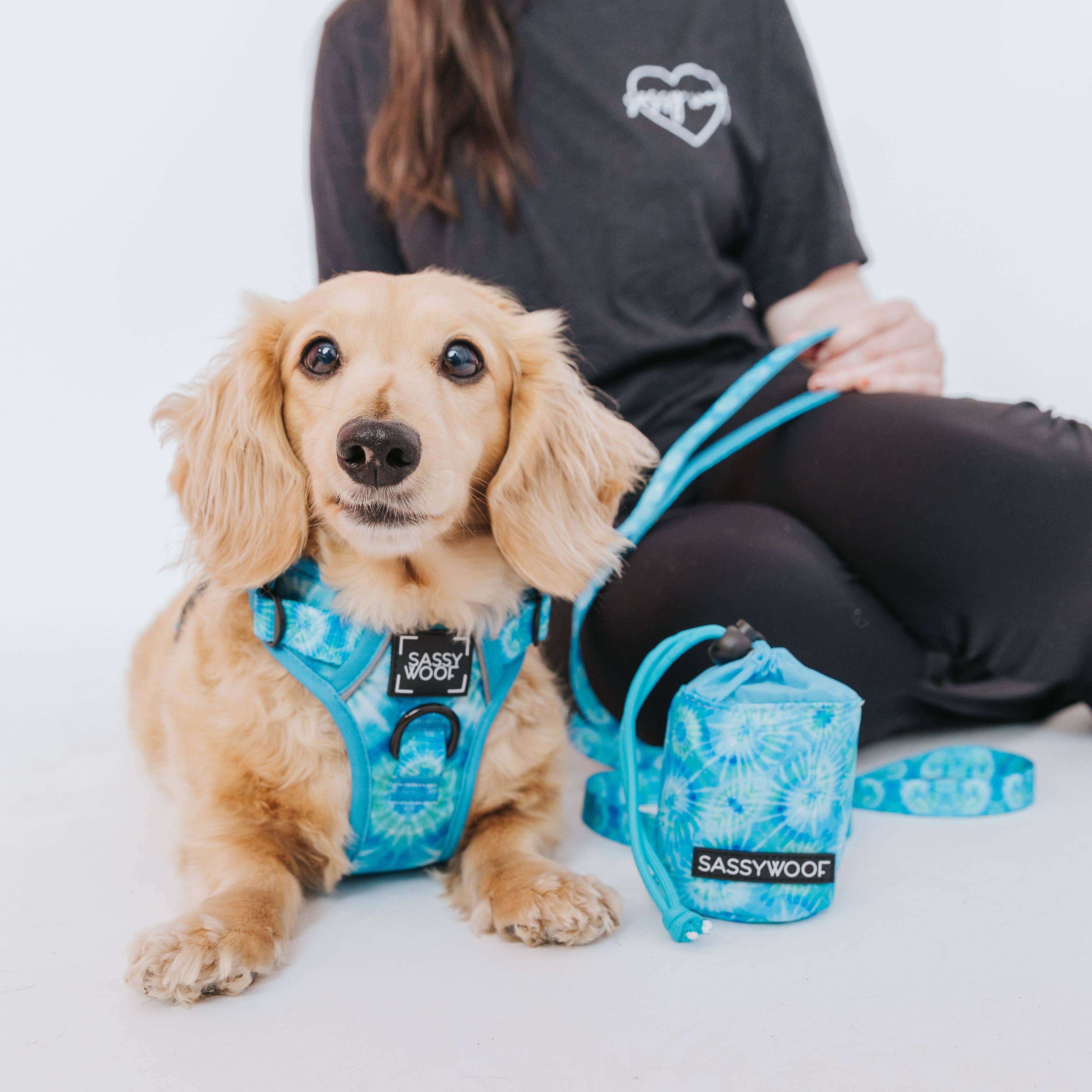 SASSY WOOF Tropical Tides Treat Pouch