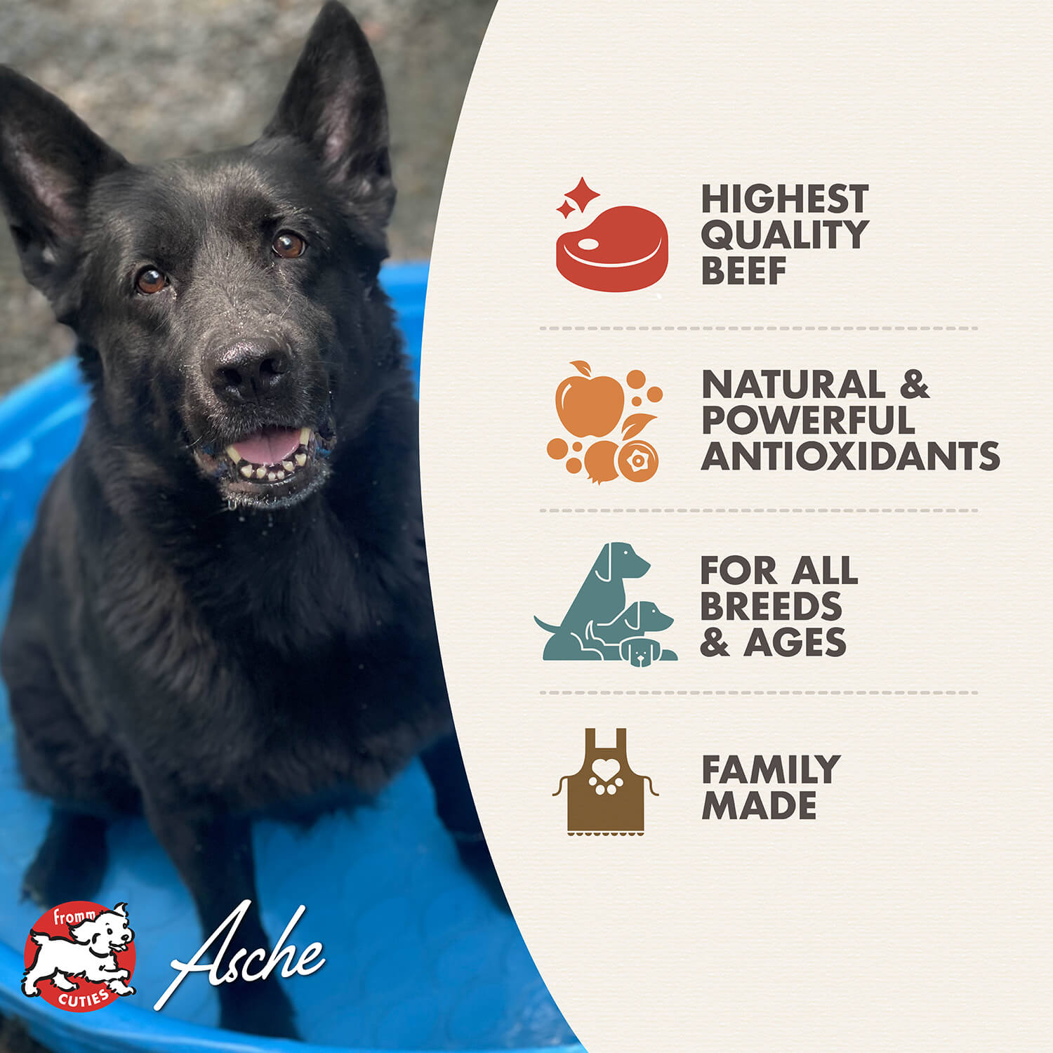 Fromm Diner Bella's Beef Barkundy Stew Canned Dog Food 12.5oz