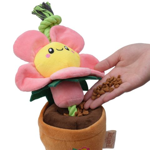 Territory Treat-and-Tug Flower 16" Dog Toy