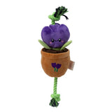 Territory Treat-and-Tug Flower 16" Dog Toy