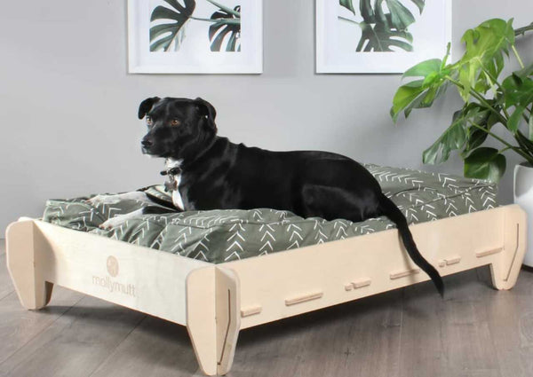 Molly Mutt lift elevated dog bed frame