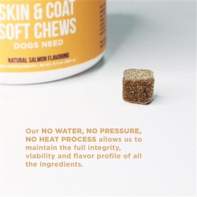 Natural Rapport Skin & Coat Soft Chews - Paw Naturals