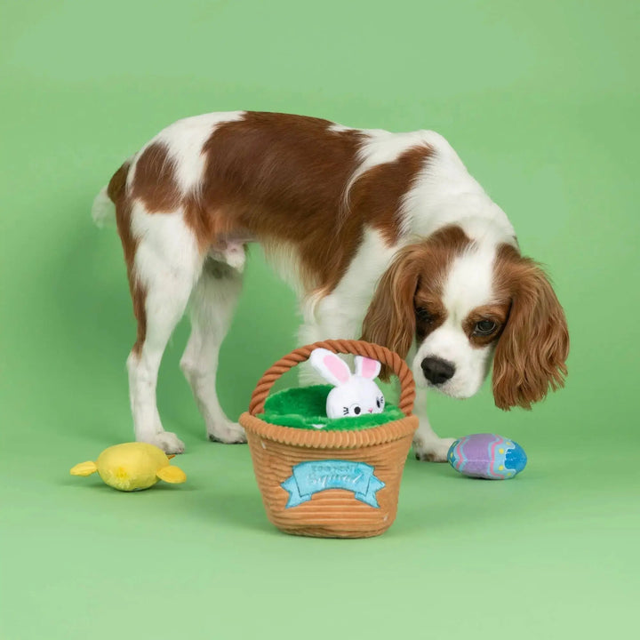 PetShop by Fringe Studio Egg Hunt Squad Hide n Seek Dog Toy