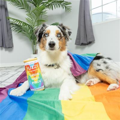 Lulubelles Fuzzy Soft Seltzer Plush Dog Toy