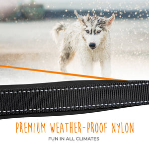 Mighty Paw Sport Collar 2.0 - Paw Naturals